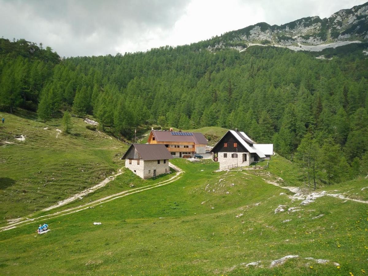 Homestead Zatrnik Near Bled Dış mekan fotoğraf