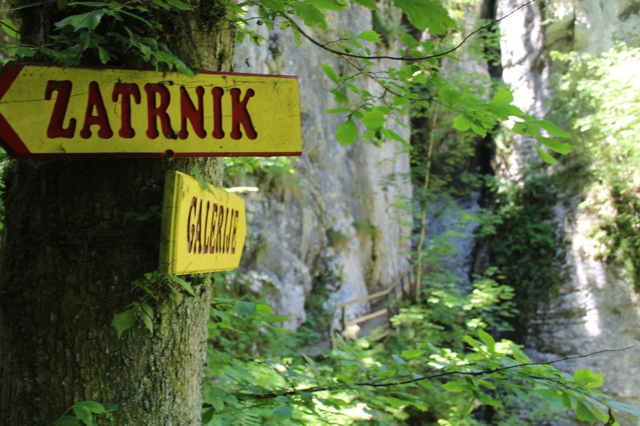 Homestead Zatrnik Near Bled Dış mekan fotoğraf