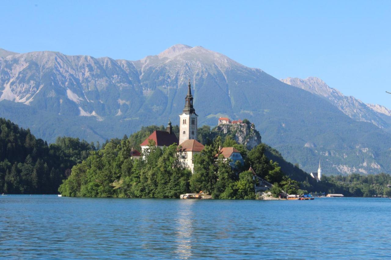 Homestead Zatrnik Near Bled Dış mekan fotoğraf