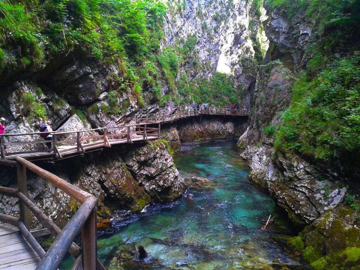 Homestead Zatrnik Near Bled Dış mekan fotoğraf