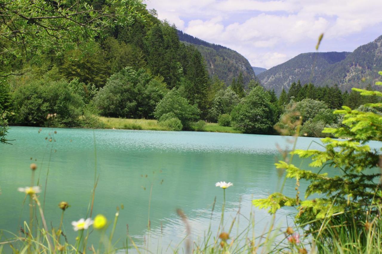 Homestead Zatrnik Near Bled Dış mekan fotoğraf